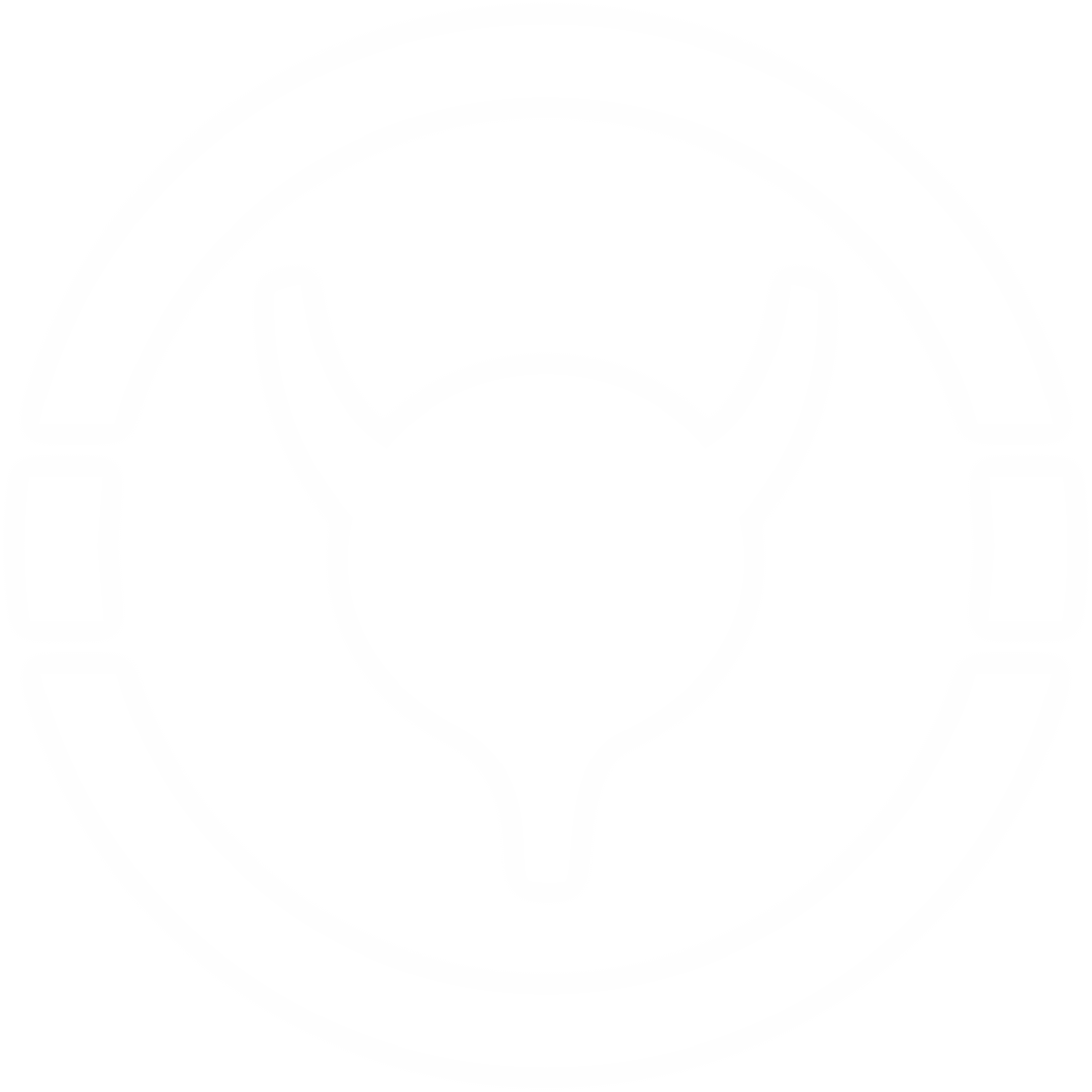 Abstract Transparent Bull Head Symbol Illustration