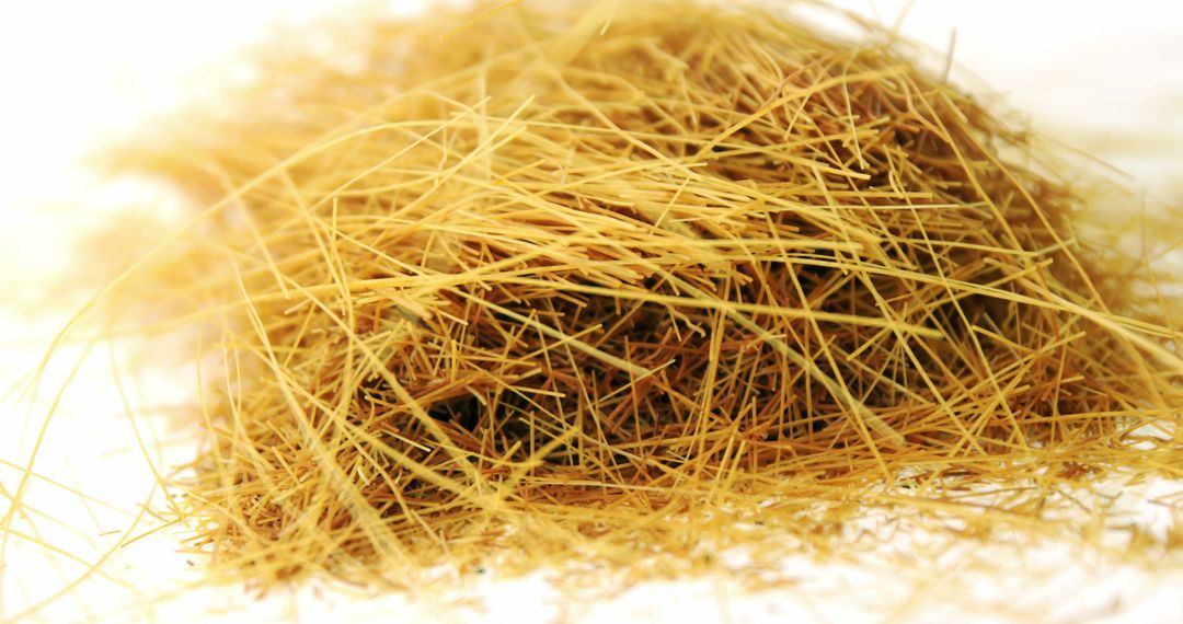 Close-Up Pile of Straw Hay Isolated on White Background - Free Images, Stock Photos and Pictures on Pikwizard.com