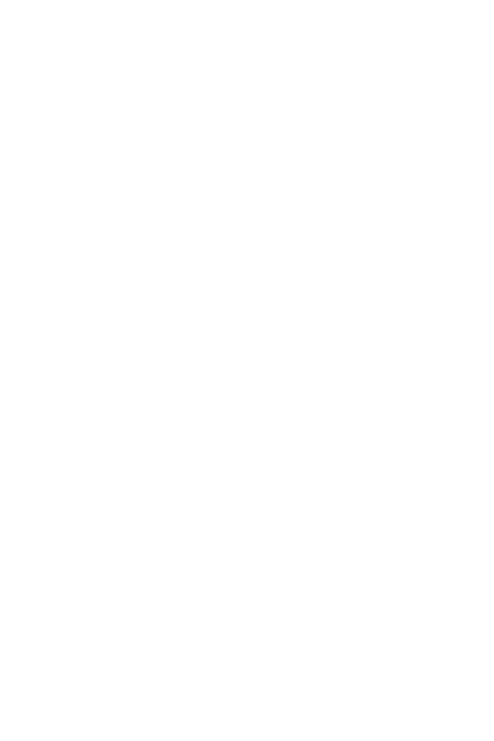 Transparent PNG Silhouette of Boxer with Boxing Gloves in Stance - Download Free Stock Images Pikwizard.com