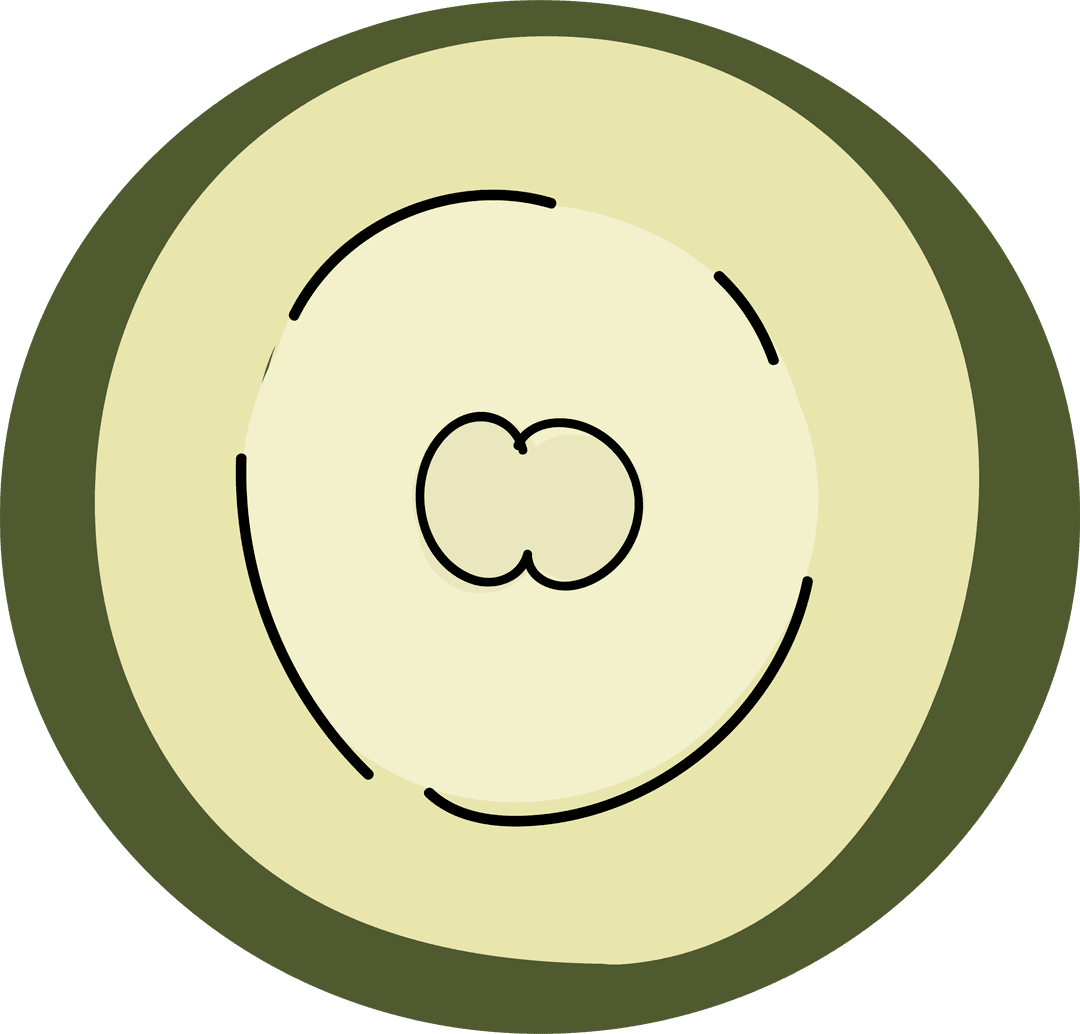 Abstract Geometric Art with Concentric Rings on Transparent Background