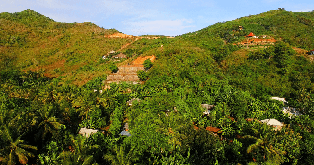 Lush Greenery on Mountain Hillside Under Clear Sky