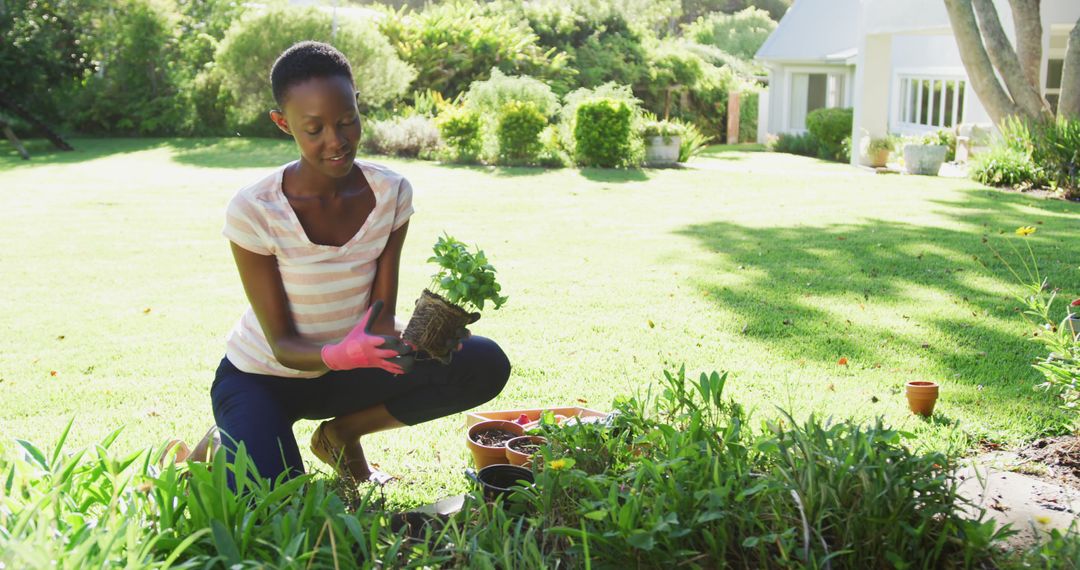 African american woman planting plants in sunny garden smiling to camera - Free Images, Stock Photos and Pictures on Pikwizard.com