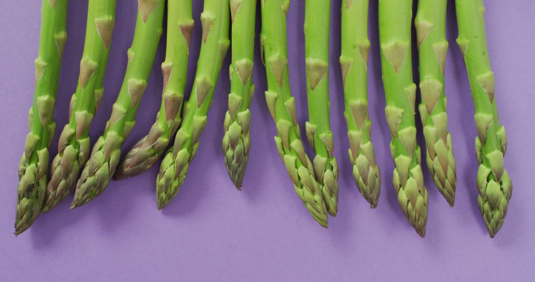 Fresh Asparagus Spears on Purple Background Close-Up - Free Images, Stock Photos and Pictures on Pikwizard.com