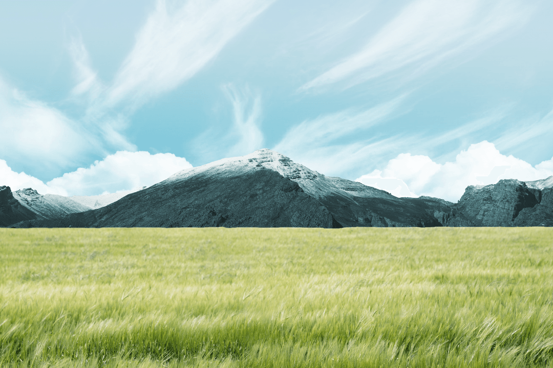 Transparent Mountain Range and Meadow Vector Landscape