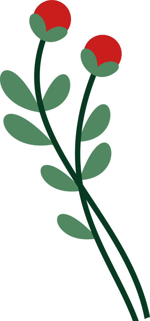 Two Stylized Red Buds on Green Stems Transparent Illustration