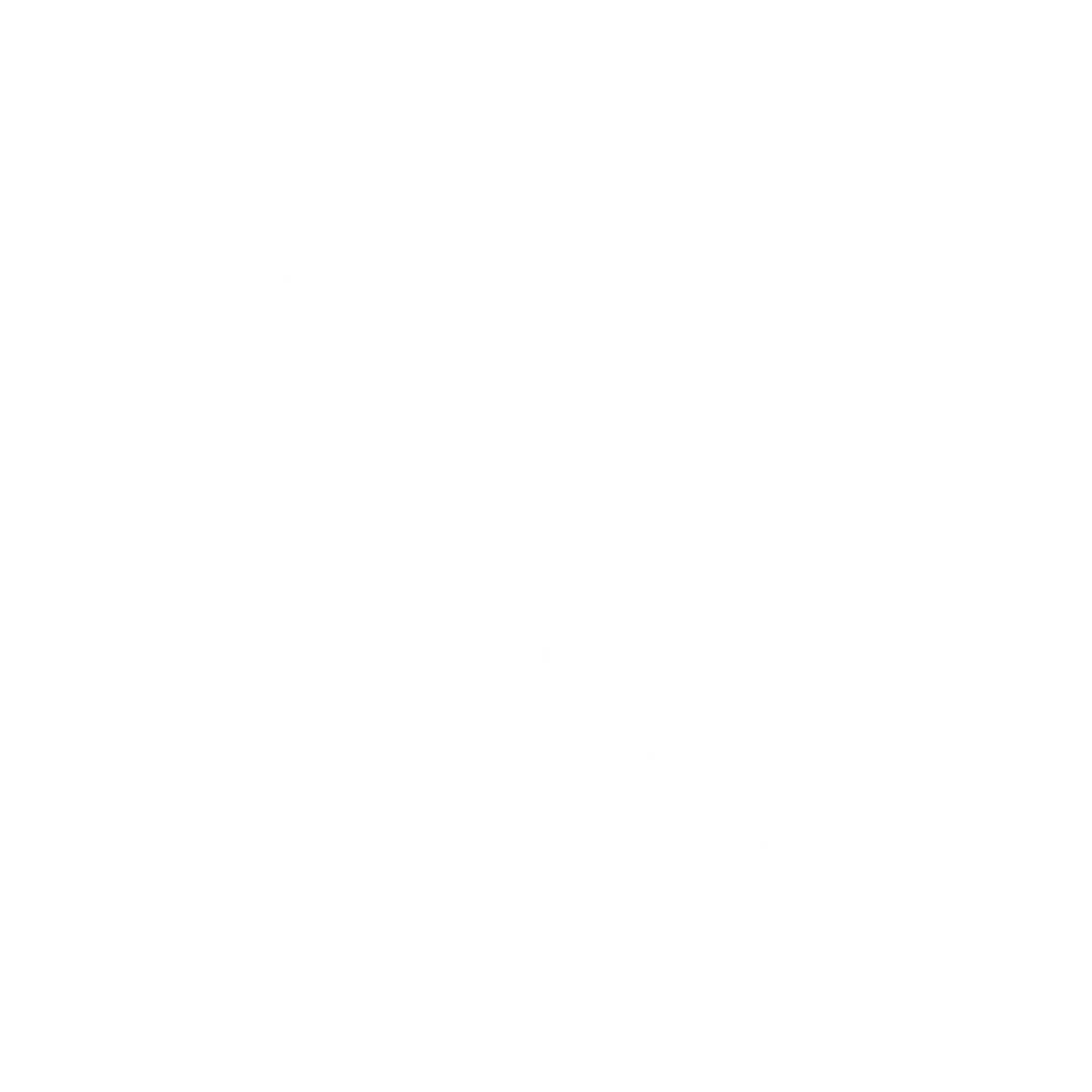 White Rosette Floral Design on Transparent Background