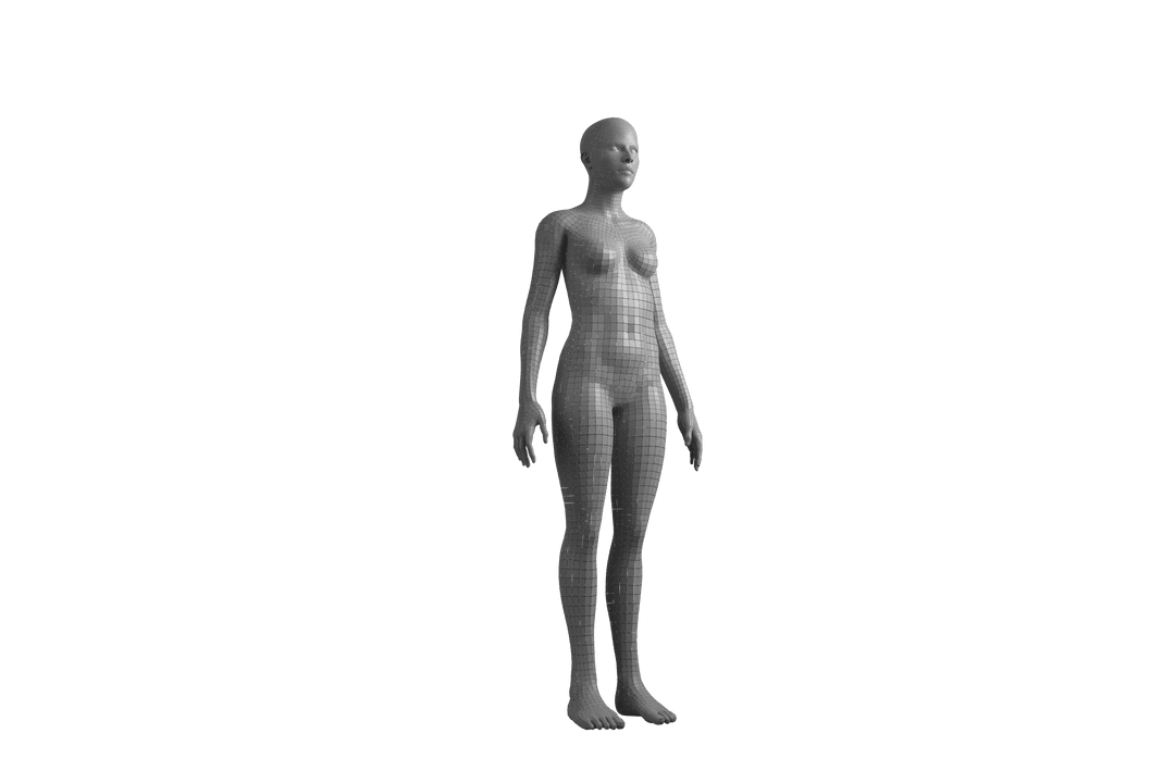 Transparent Female Digital Wireframe 3D Model Mesh