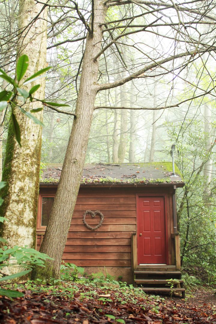 Misty Forest Cabin with Red Door and Heart Decoration - Free Images, Stock Photos and Pictures on Pikwizard.com