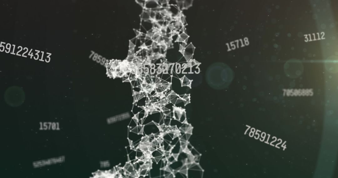 Digital Network with Floating Numbers