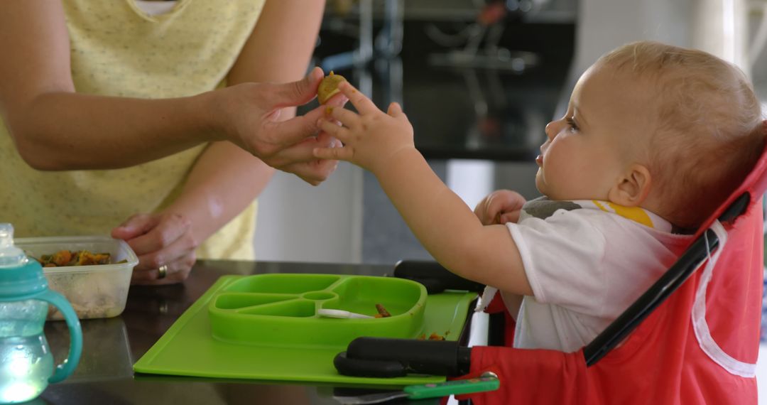 Mother Feeding Toddler Lunch with Silicone Divided Plate - Free Images, Stock Photos and Pictures on Pikwizard.com