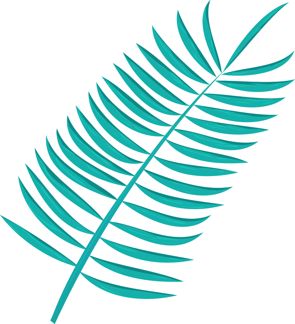 Stylized Teal Fern Frond on Transparent Background