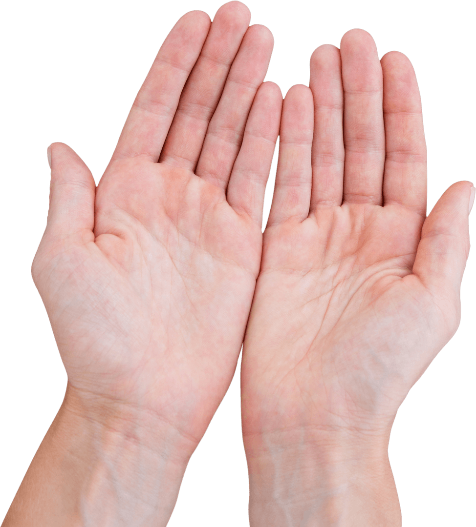 Transparent Photo of Outstretched Hands on White Background