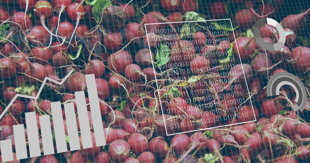 Digital Agriculture and Red Radishes with Analytics Display
