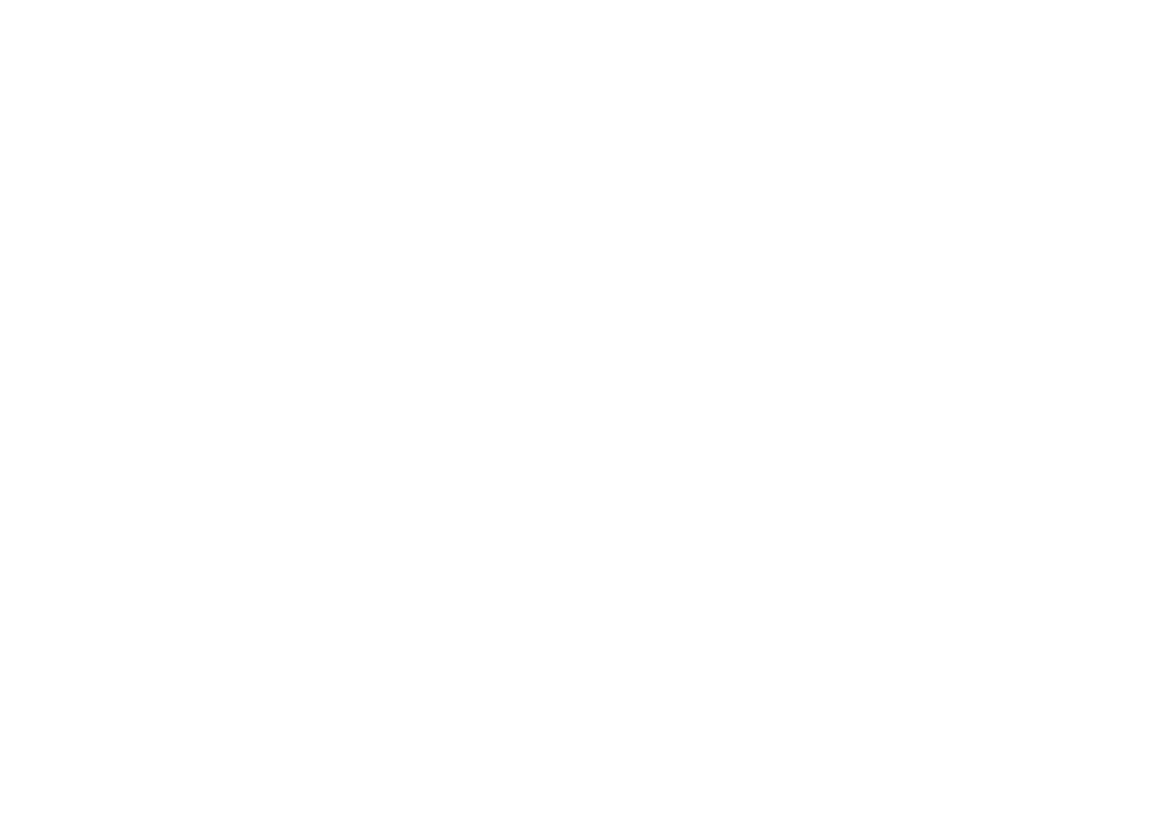 Silhouette of Weightlifter with Barbell on Transparent Background - Download Free Stock Images Pikwizard.com