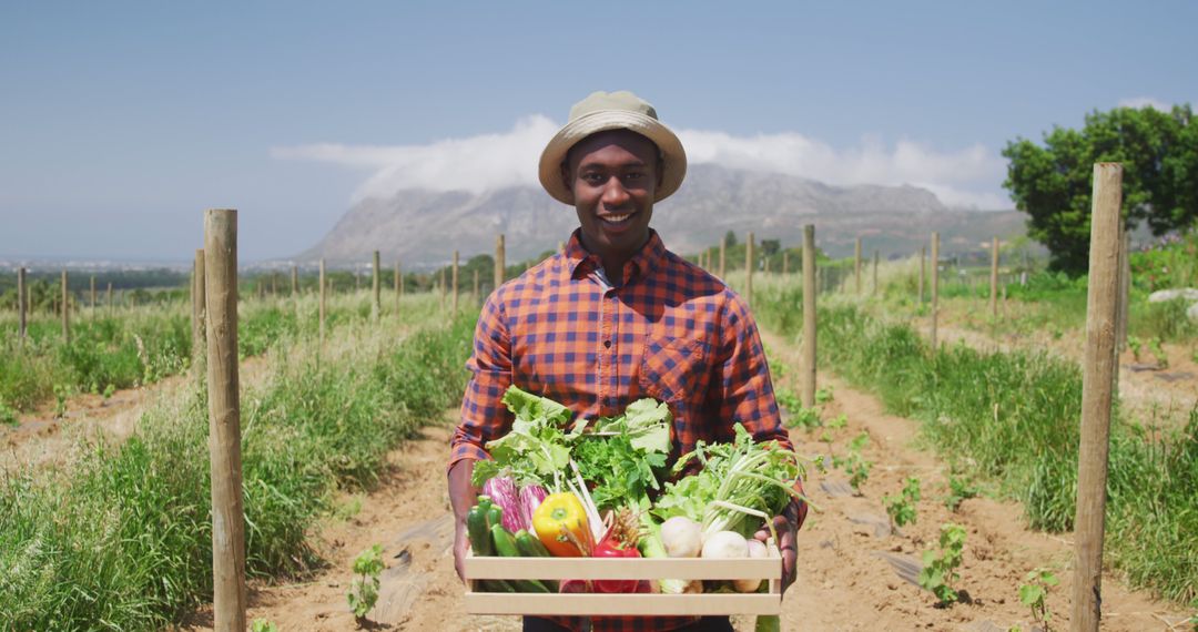 Joyful Farmer Holding Fresh Vegetables in Sunny Field - Free Images, Stock Photos and Pictures on Pikwizard.com