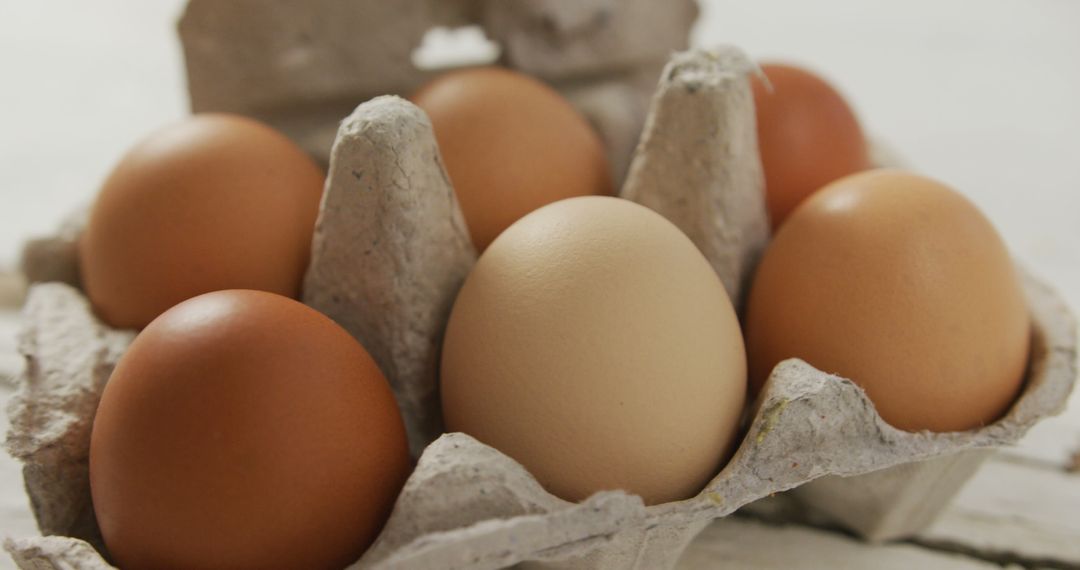 Fresh Brown and White Eggs in Recycled Carton - Free Images, Stock Photos and Pictures on Pikwizard.com