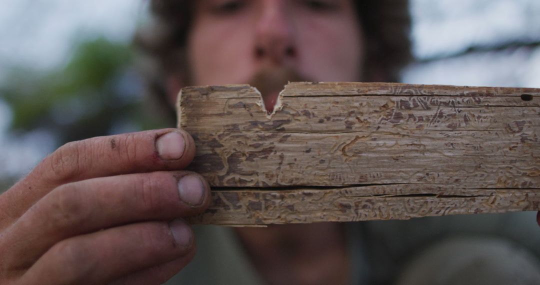 Close-up of Person Inspecting Aged Wooden Piece - Free Images, Stock Photos and Pictures on Pikwizard.com