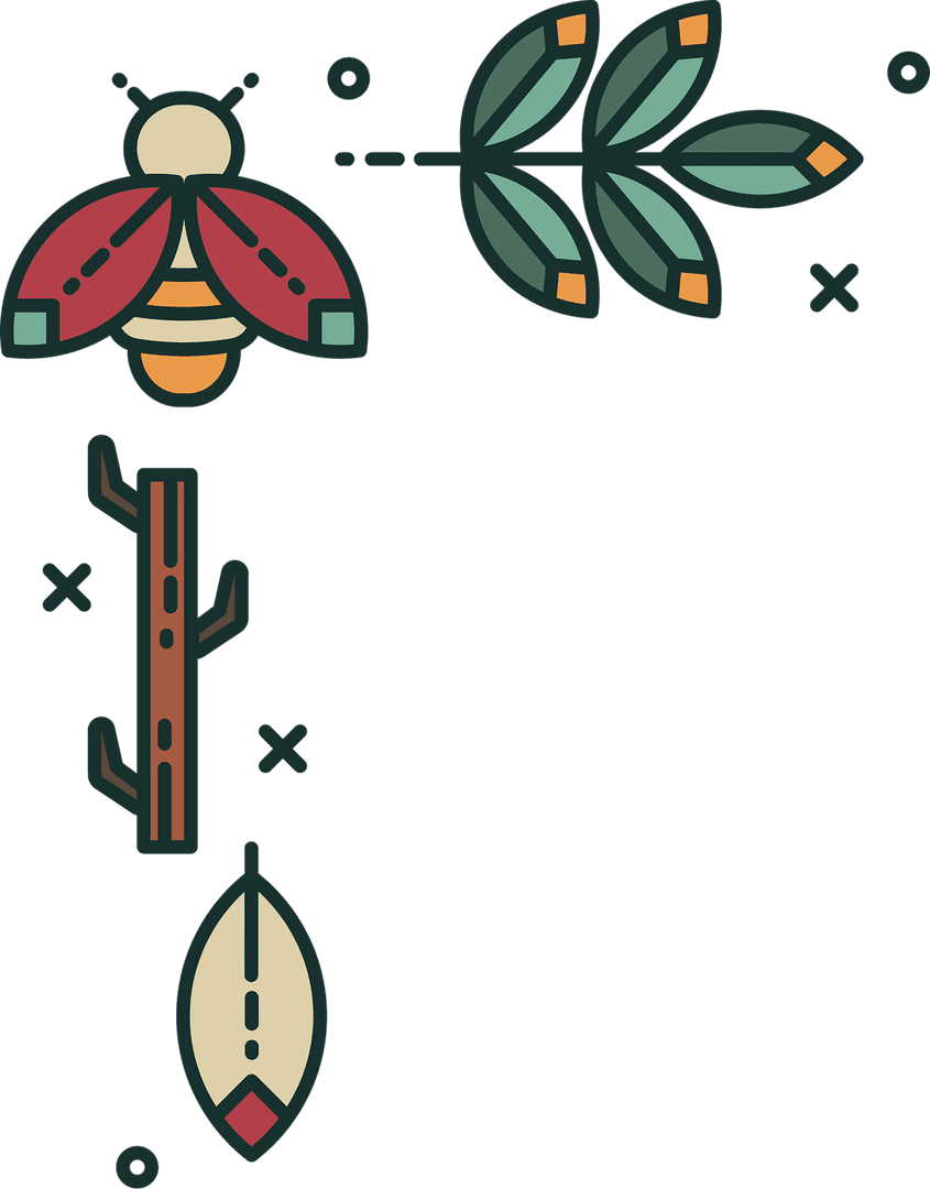 Beetle and Leaves in Nature Inspired Vector on Transparent Background