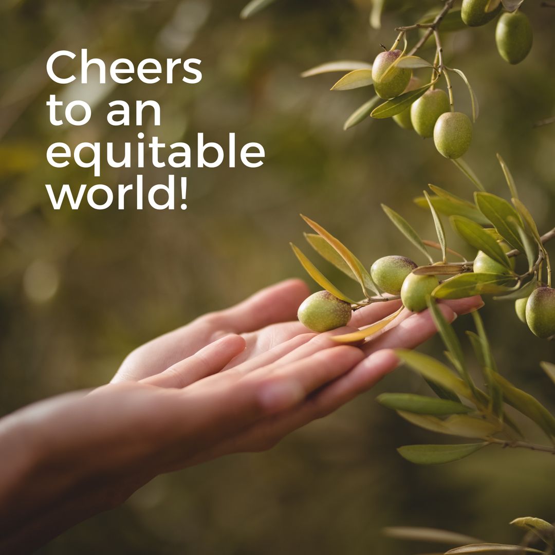 Hands Touching Fresh Olives for Fair Trade Celebration