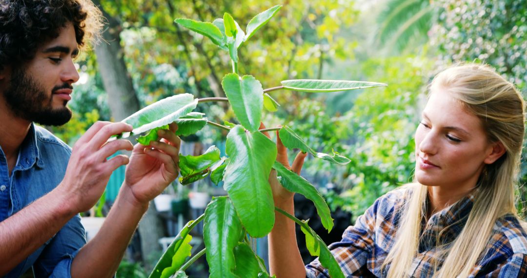 Two Botanists Examining Plant in Lush Garden - Free Images, Stock Photos and Pictures on Pikwizard.com