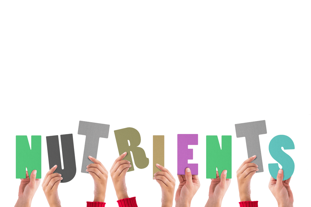 Diverse Hands Holding Nutrients Text on Transparent Background