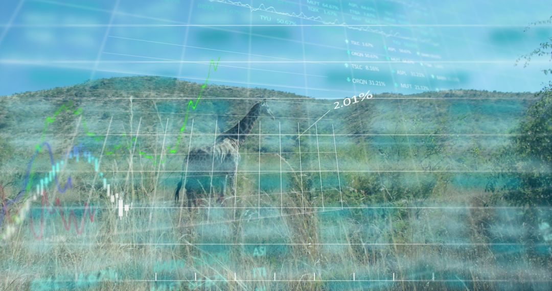 Giraffe silhouette with overlaid financial graph in savannah landscape