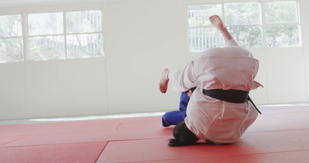 Two Judo Practitioners Sparring in Training Dojo - Free Images, Stock Photos and Pictures on Pikwizard.com