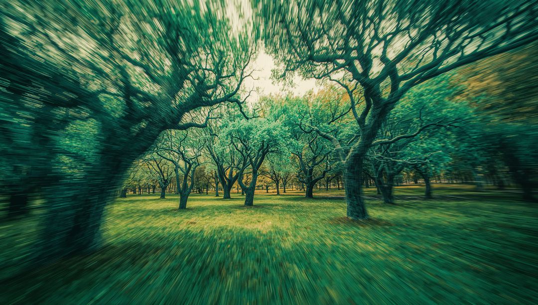 Radial Blur in Serene Grove Capturing Autumn Tranquility