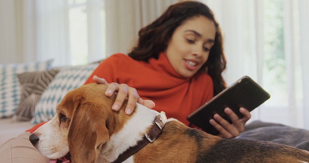 A young woman enjoys leisure time with her beagle dog while using a tablet, with copy space - Free Images, Stock Photos and Pictures on Pikwizard.com