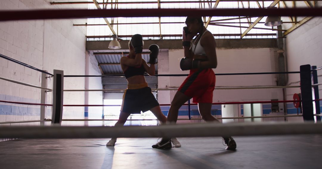 Female and Male Boxers Sparring in Industrial Gym - Free Images, Stock Photos and Pictures on Pikwizard.com