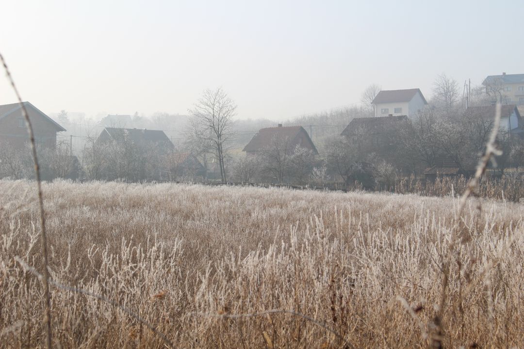 Foggy Rural Field with Frost-Covered Grasses and Distant Houses - Free Images, Stock Photos and Pictures on Pikwizard.com