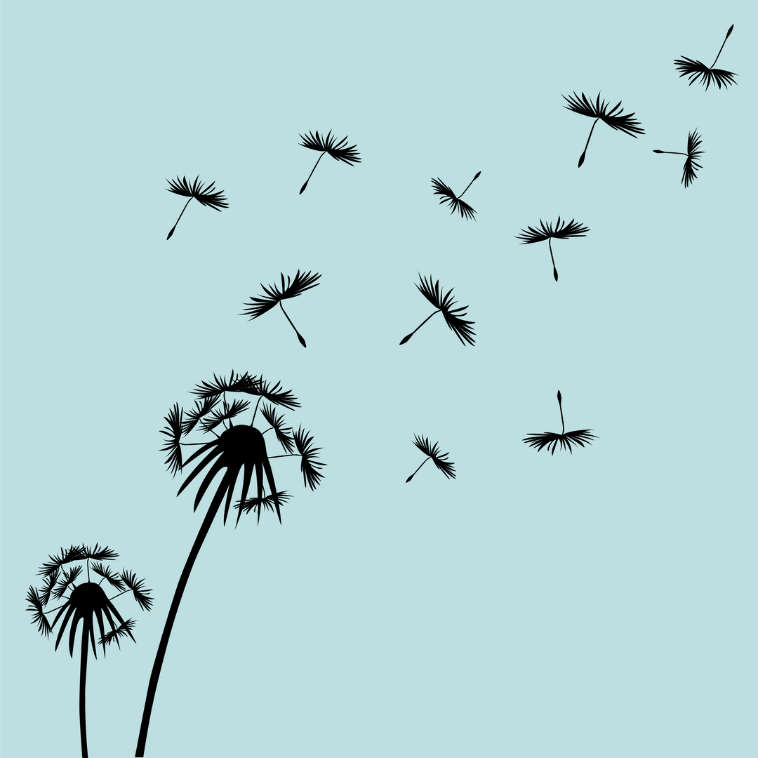 Transparent Dandelions Silhouette on Calm Blue Background