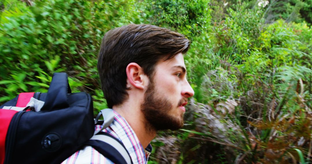 Hiker with Backpack Exploring Lush Forest Trail - Free Images, Stock Photos and Pictures on Pikwizard.com