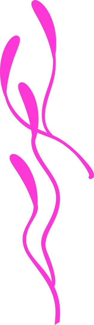 Abstract Fuchsia Lines on Transparent Background Minimalist Design