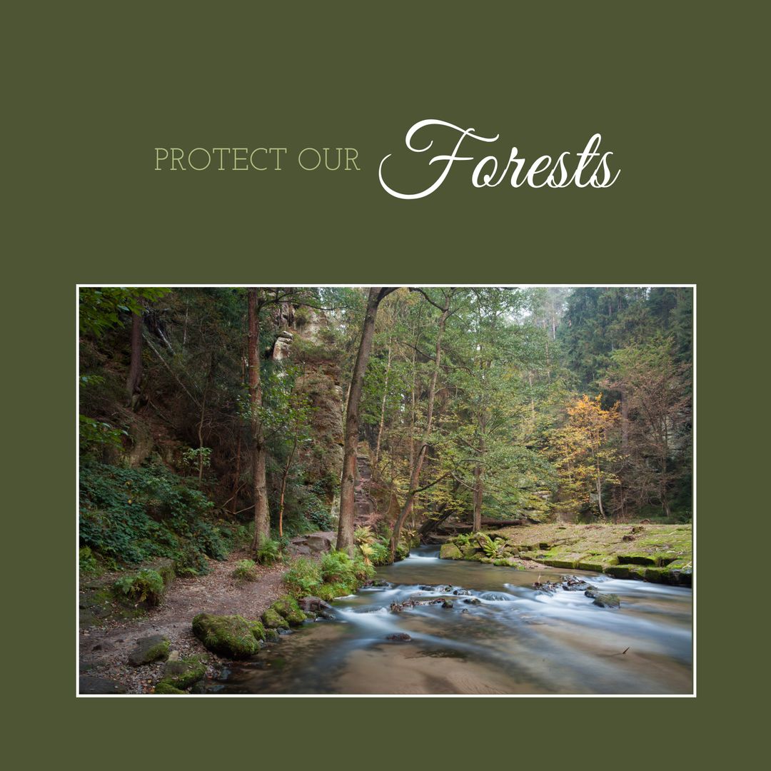Protect Our Forests: Tranquil River Through Lush Woodland