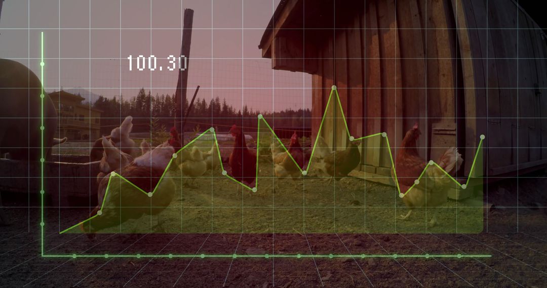 Rural Farm Yard with Poultry and Data Analytics Overlap