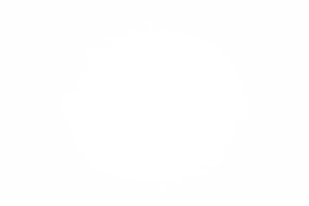 Black Circular Spot on Transparent Background for Design Elements