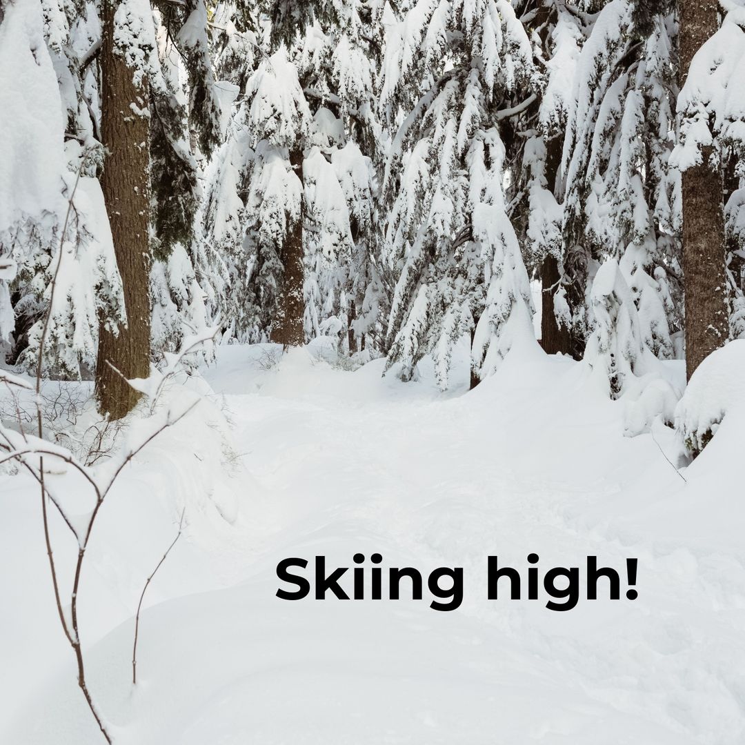 Snowy Forest Pathway in Winter Wonderland