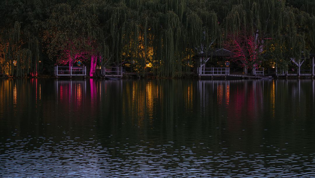 Glowing weeping willows casting magenta and amber reflections on rippled lake at dusk
