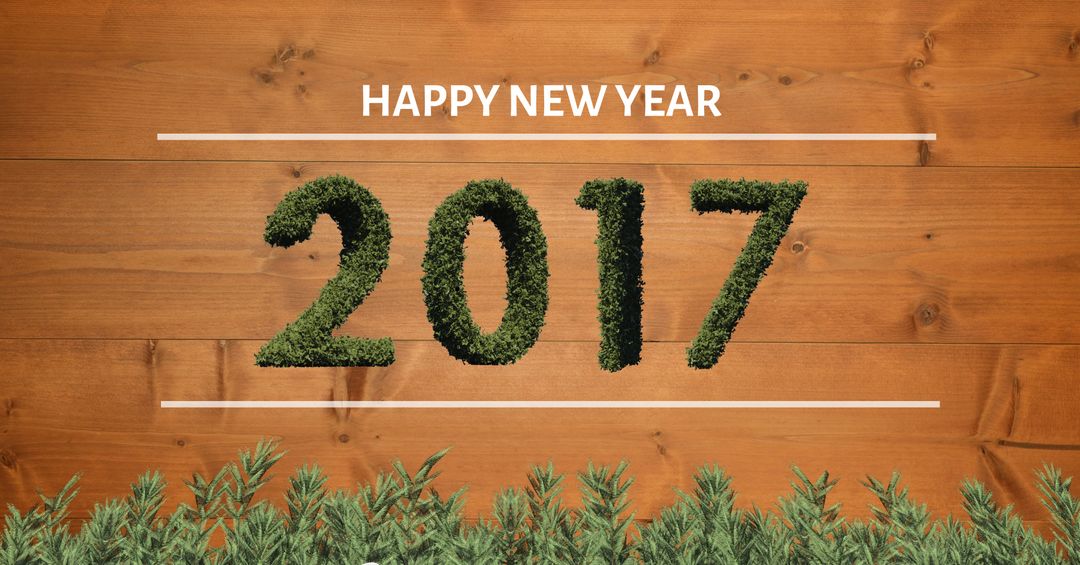 Eco-Friendly New Year 2017 on Natural Wood Background