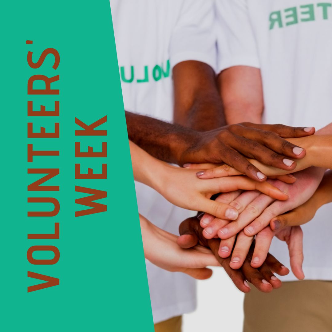 Diverse Group of Hands Celebrating Volunteers' Week
