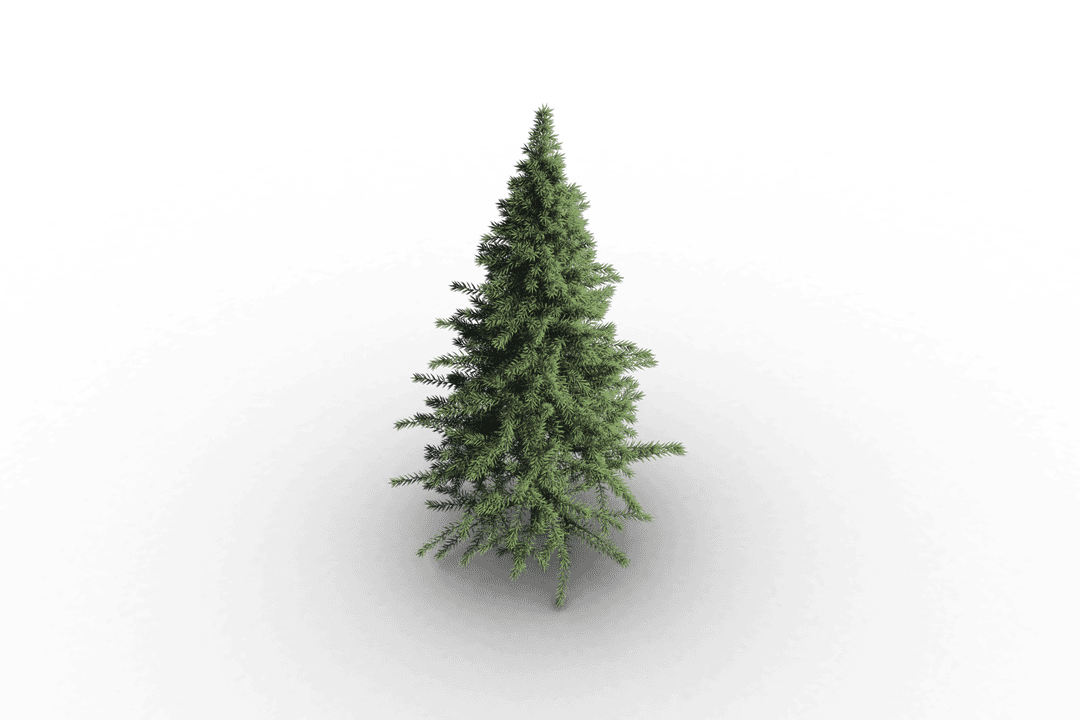 Christmas Tree on Transparent Background for Festive Designs