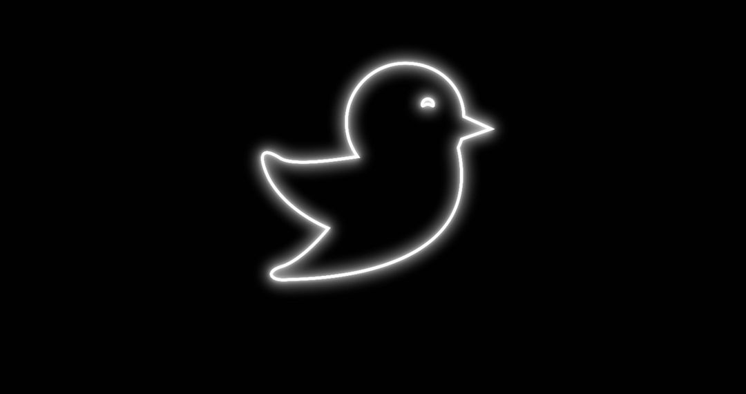 White Neon Bird Icon Flickering on Black Background - Free Images, Stock Photos and Pictures on Pikwizard.com