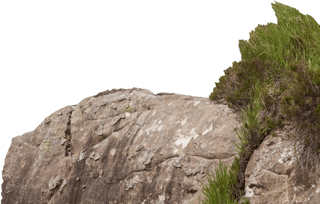 Transparent Rocky Mountain Surface with Grass