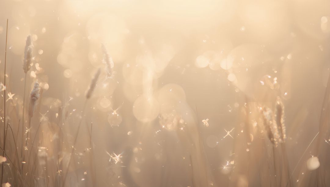 Shimmering Golden Meadow with Sunlit Tall Grass, Dew Sparkle and Ethereal Bokeh