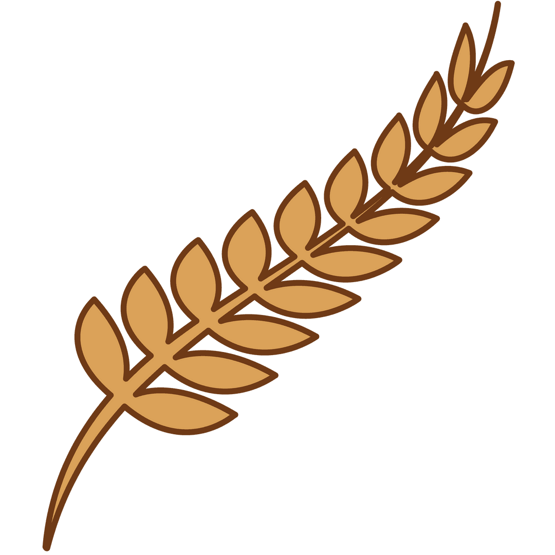 Golden Grain Ear on Transparent Background Symbolizing Agriculture
