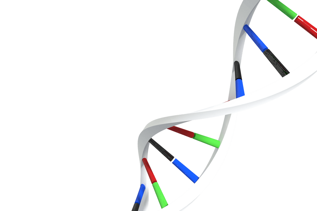 Colorful DNA Helix on Transparent Background for Biotechnology Design