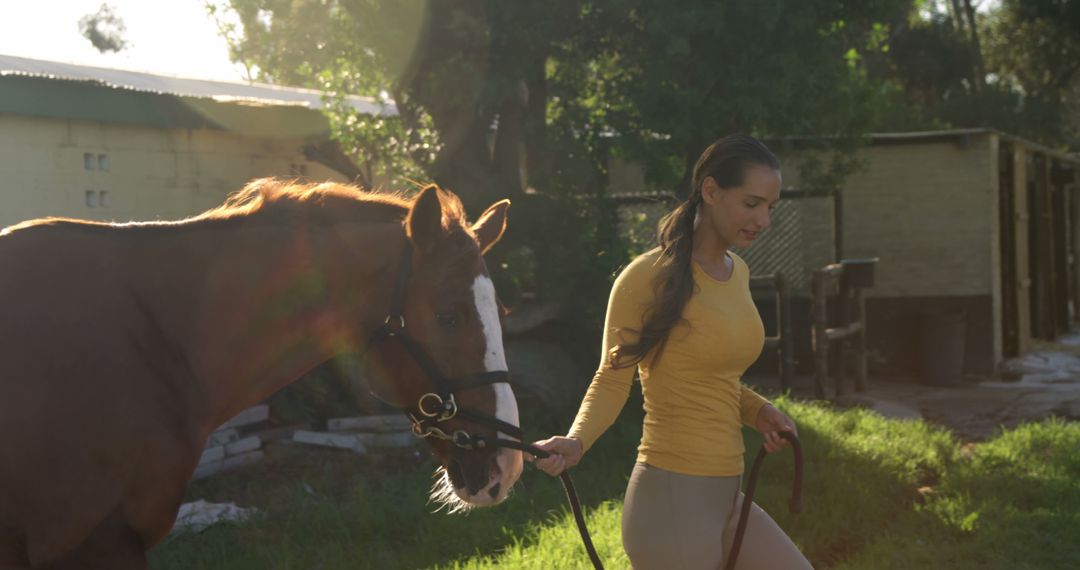 A young Caucasian woman leads a horse by its reins outdoors, with copy space - Free Images, Stock Photos and Pictures on Pikwizard.com