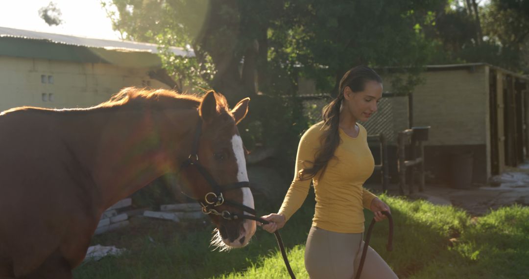 Woman Walking Horse Outdoors at Sunset - Free Images, Stock Photos and Pictures on Pikwizard.com