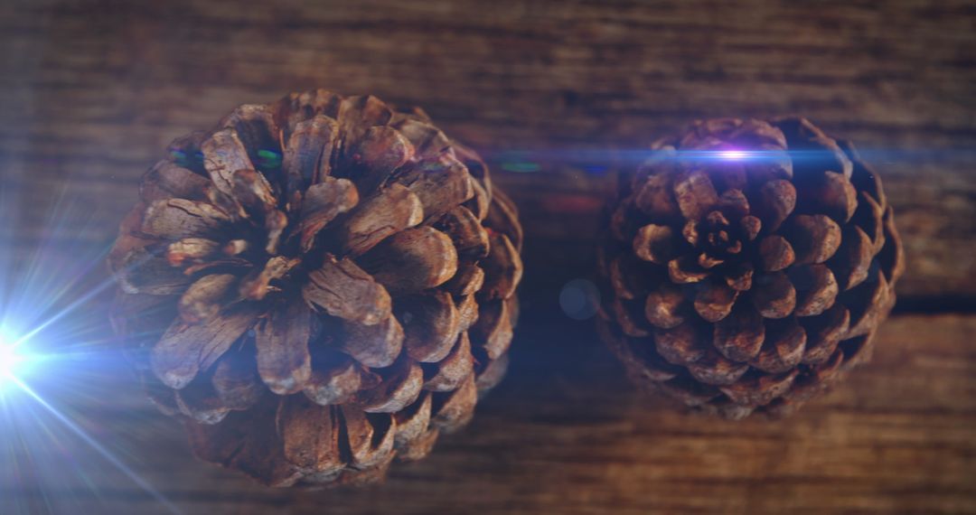 Glowing Light on Fir Cones for Rustic Christmas Decor